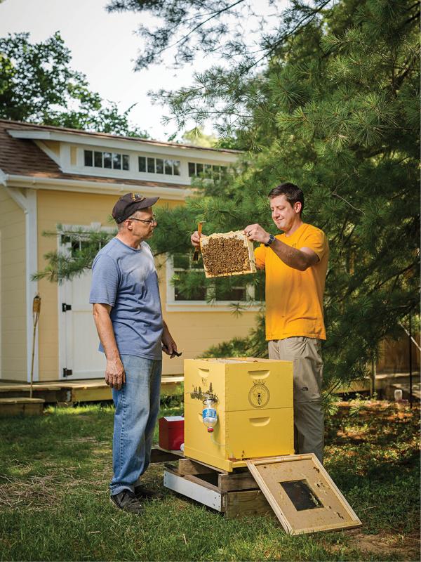 Queen City Bee Co.'s Carlier Smyth (right) checks on Paul Wilson's foster hive in Madeira.