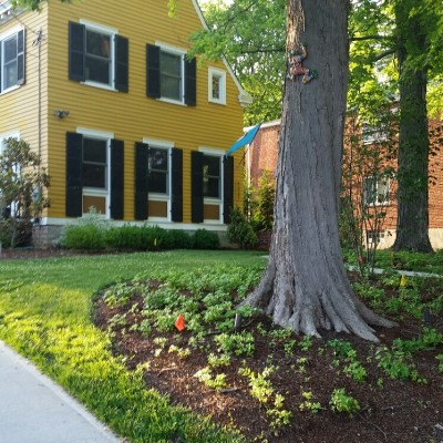 Madisonville Garden Tour