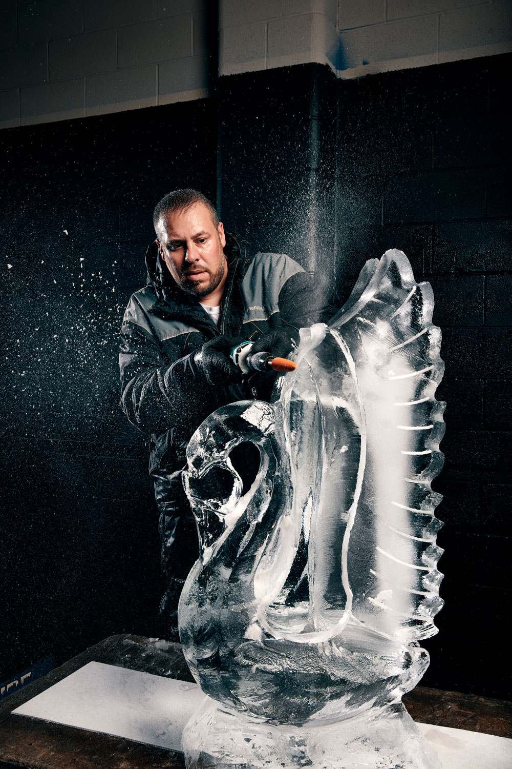 Amazing Ice Sculptures 