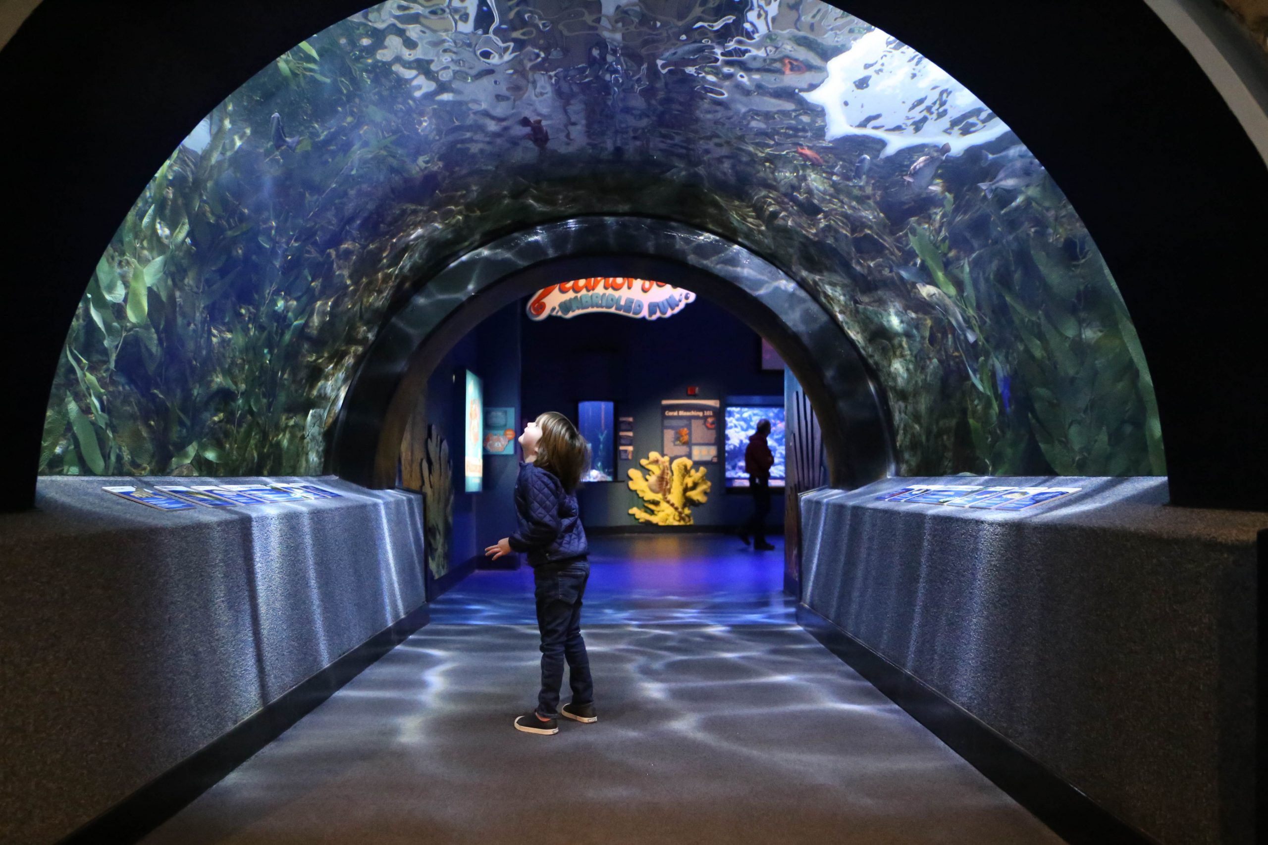 Newport Aquarium, Aquariums in Cincinnati
