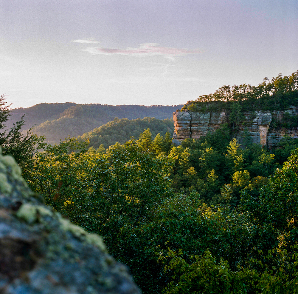 are dogs allowed at red river gorge