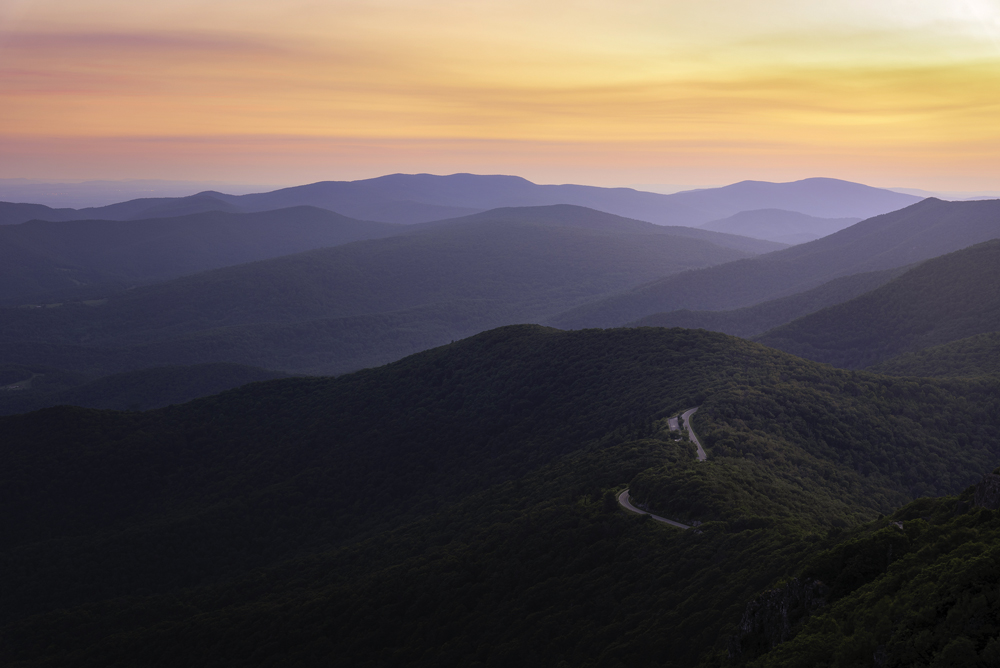 Blue Ridge, Appalachian Trail, Shenandoah, Wildlife