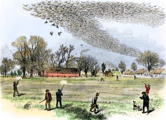 Over the Years, Cincinnati Has Produced Some Curious Students of Natural History