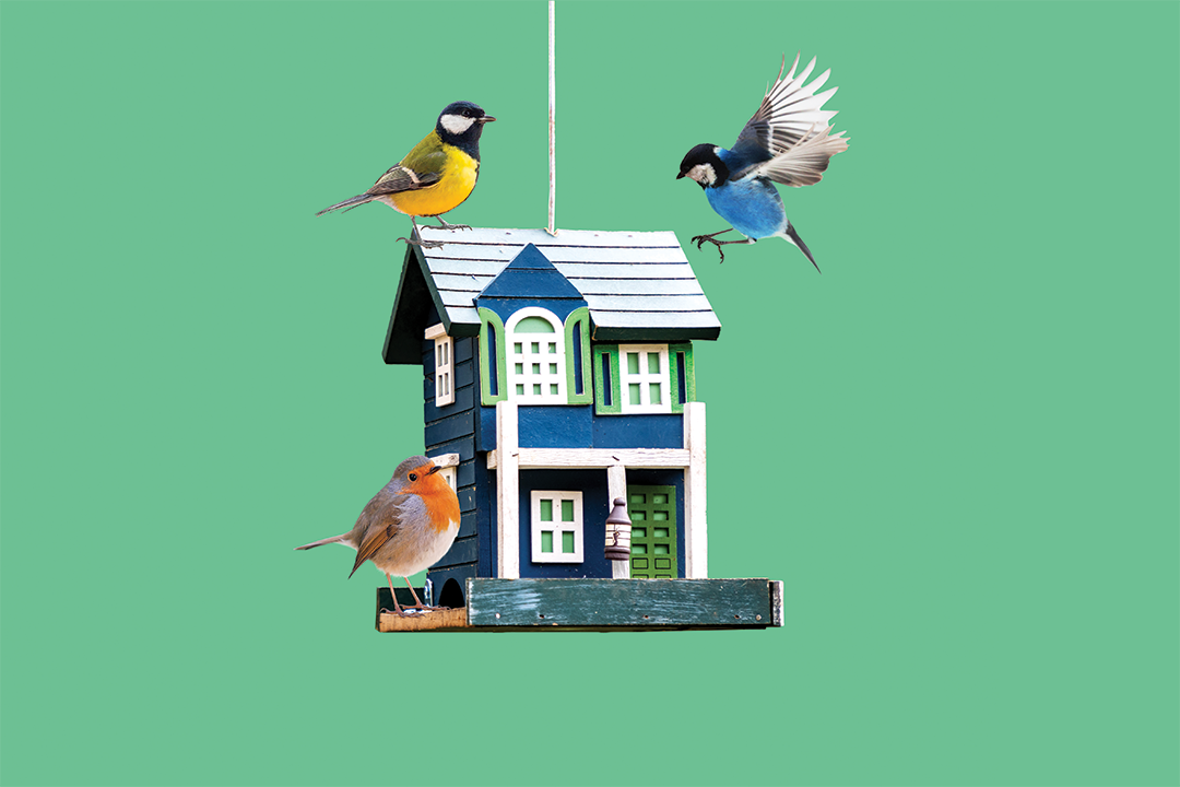 Market Moves: The New Roommates