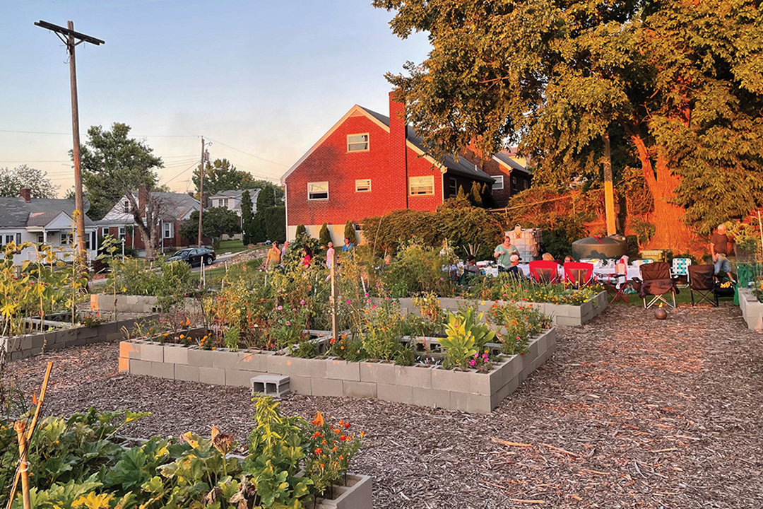 The Power of Community Gardens